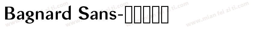 Bagnard Sans字体转换